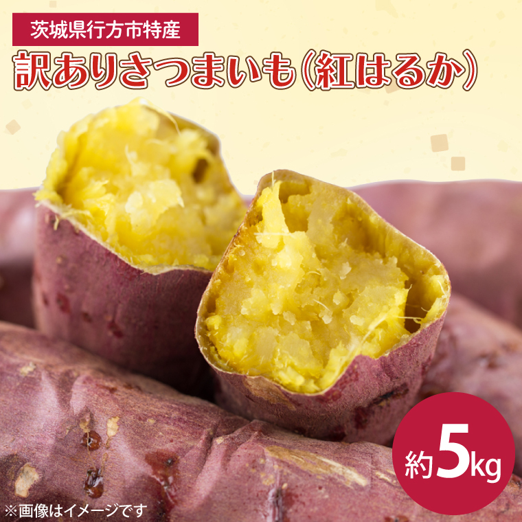 【2025年12月より順次発送】茨城県産 紅はるか 訳あり サイズミックス 約5kg|訳あり わけあり 訳アリ さつまいも サツマイモ さつま芋 紅はるか べにはるか 芋 いも 茨城県産 行方市(FU-1)茨