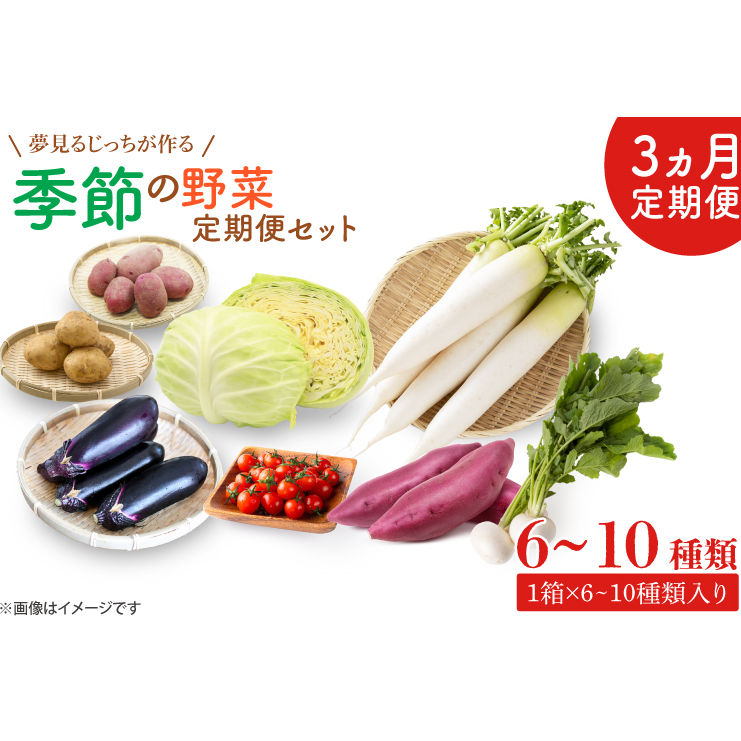 CN-6 【3ヶ月定期便】 夢見るじっちが作る季節の野菜セット 6〜10種類入り1箱茨城県行方市20000野菜・きのこその他 野菜