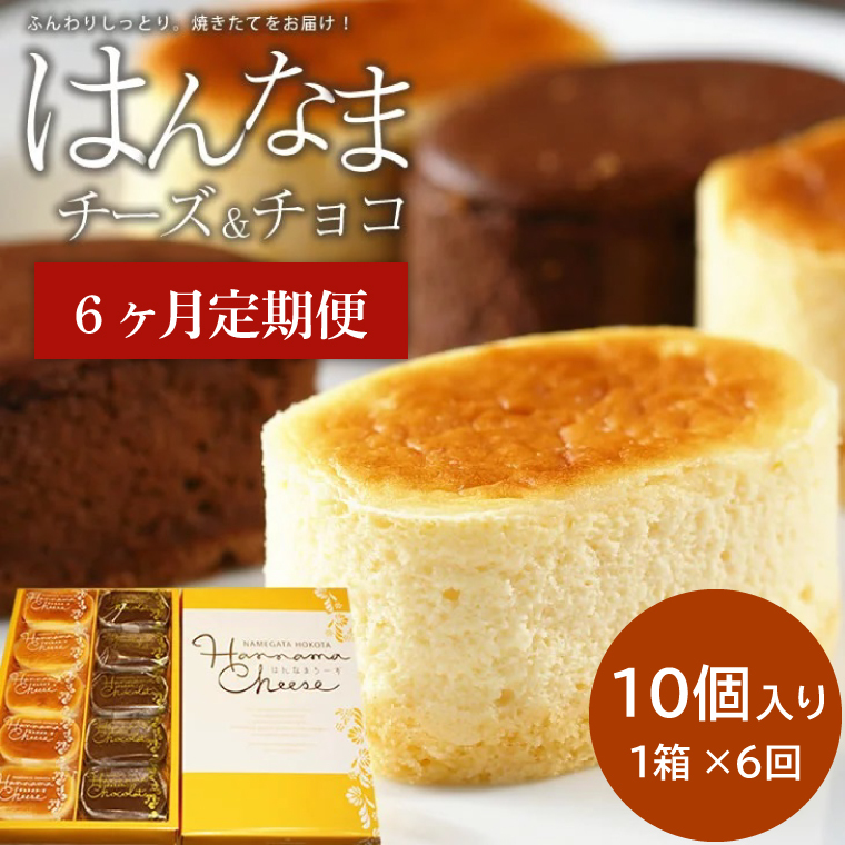 H-31 【6回定期便】はんなまチーズ5個・はんなまちょこ5個茨城県行方市42000菓子・スイーツケーキ・カステラ