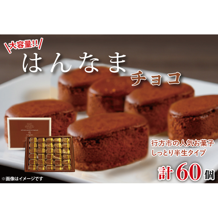 H-47 大容量!!はんなまちょこ60個茨城県行方市40000菓子・スイーツケーキ・カステラ