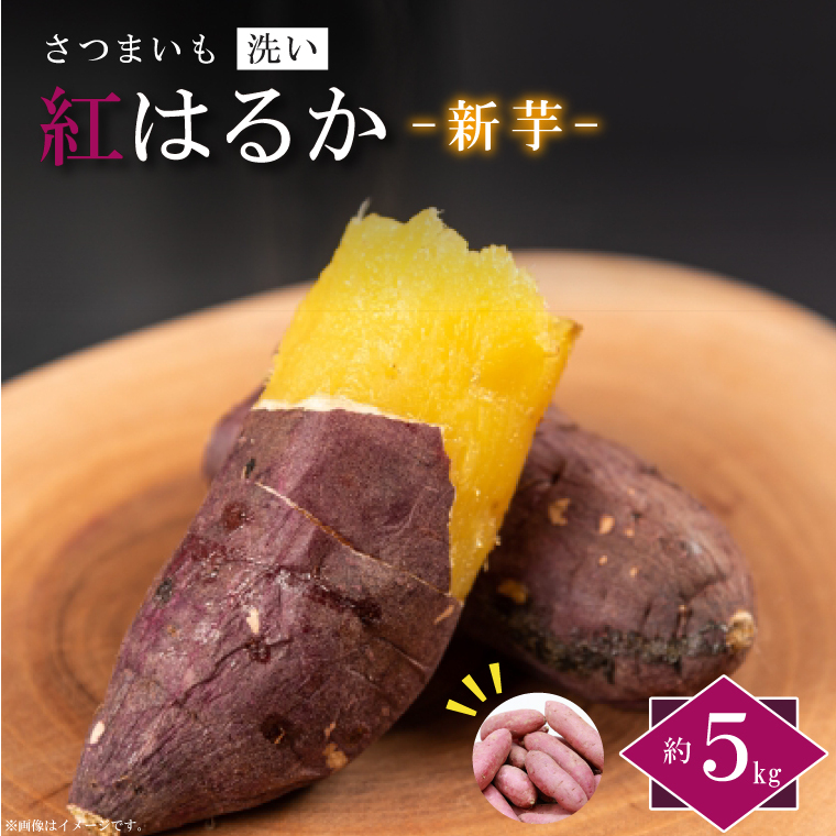 【2025年9月より順次発送】農産物直売所「やさいの声」紅はるか 新芋 洗い 約5kg|さつまいも サツマイモ 紅はるか 洗い 行方市 ふるさと納税(EK-9)茨城県行方市8000野菜・きのこじゃがいも・イ