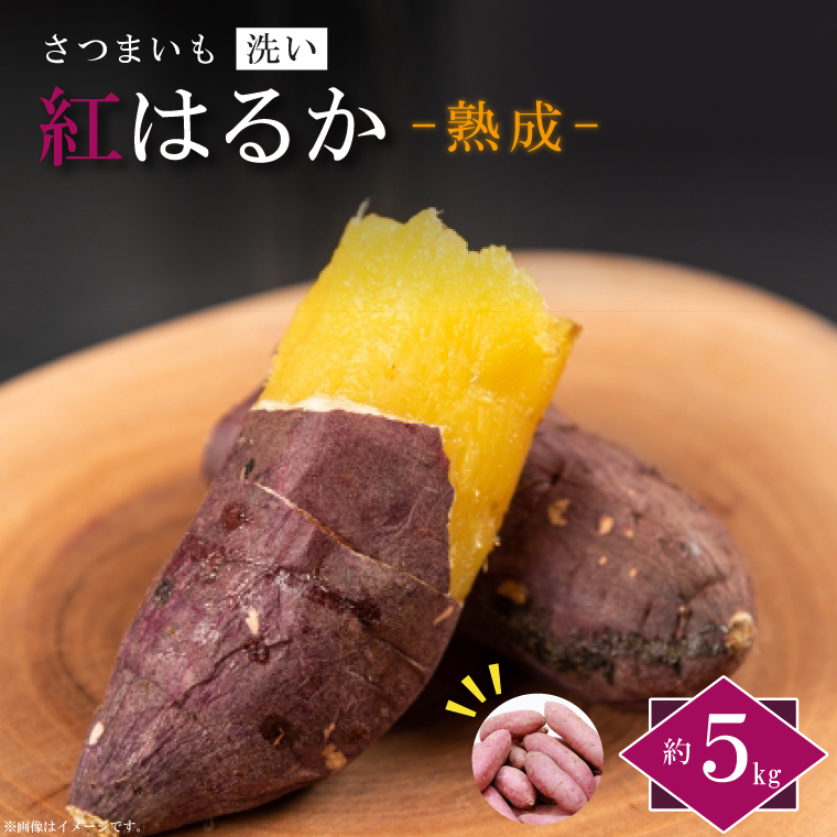 【2026年1月より順次発送】農産物直売所「やさいの声」熟成紅はるか 洗い 約5kg|さつまいも サツマイモ 紅はるか 熟成 洗い 行方市 ふるさと納税(EK-12)茨城県行方市9000野菜・きのこじゃがい