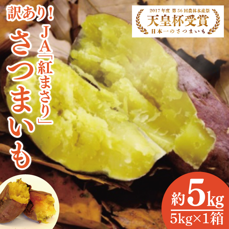 y2026N2菇zy󂠂zs񂵂ug܂v܂5kgi􂢁EsECijb܂ Tc}C ܈  g܂ 󂠂 킯 A s