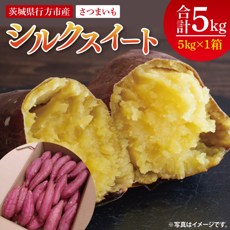 【2025年9月より順次発送】さつまいも(シルクスイート) 約5kg|さつまいも 芋 サツマイモ シルクスイート 先行予約 茨城県 行方市(HP-2)茨城県行方市10000野菜・きのこじゃがいも・イモ類