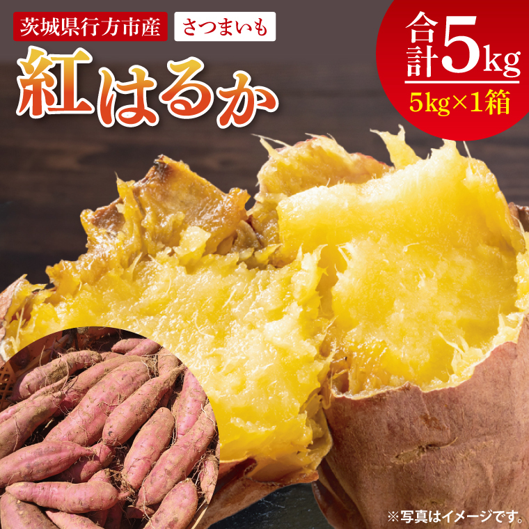 【2025年9月より順次発送】さつまいも(紅はるか) 約5kg|さつまいも 芋 サツマイモ 紅はるか 先行予約 茨城県 行方市(HP-1)茨城県行方市10000野菜・きのこじゃがいも・イモ類