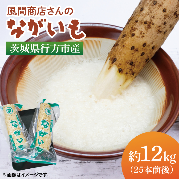 【2025年12月より順次発送】風間商店さんのながいも 約12kg(25本前後)|ながいも いも 芋 長芋 野菜 やさい 人気 美容 健康 腸活 味噌汁 天ぷら 茨城県 行方市 行方市産(HO-3)茨城県行方市28000野