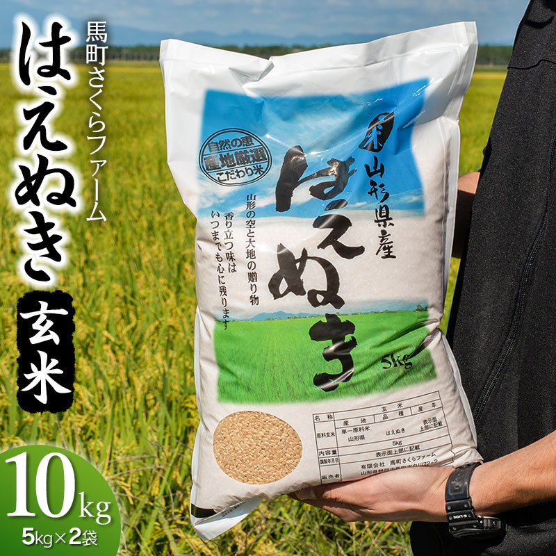 yߘa7NYs\z nt@[̂͂ʂ  10kgi5kg×2܁j@K-761R`߉s21500āEpāEGāEāE