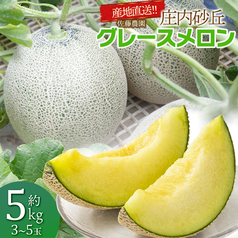 【令和8年産先行予約】産地直送! 庄内砂丘グレースメロン 約5kg (3〜5玉) 佐藤農園  K-835山形県鶴岡市13500果物・フルーツ