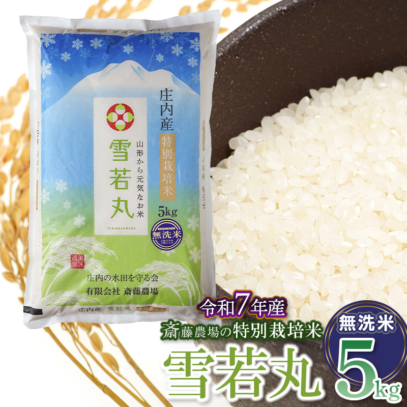 yߘa7NYzyVāz֓_̓ʍ͔|   5kg(5kg×1) R`߉s [K-756]R`߉s20000āEp