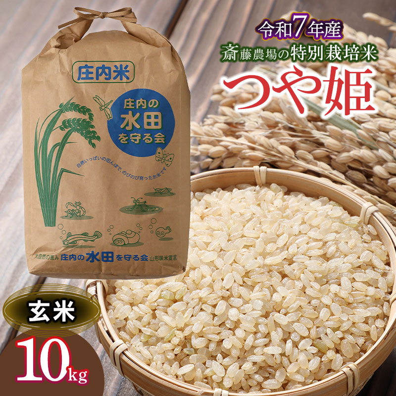 【令和7年産】【新米】 斎藤農場の特別栽培米 つや姫 玄米 10kg 山形県鶴岡市 K-7117山形県鶴岡市39000米・パン無洗米