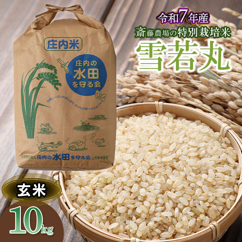 yߘa7NYzyVāz֓_̓ʍ͔|   10kg R`߉s [K-7117]R`߉s39000āEpāEGāEāE