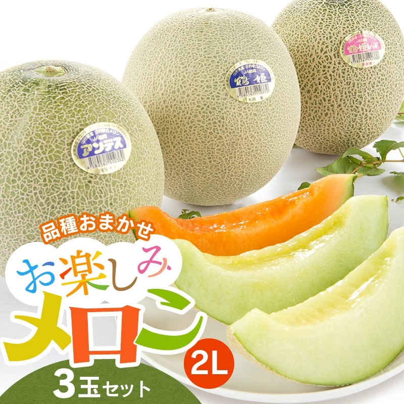 【令和7年産先行予約】 お楽しみメロン 3玉セット 2Lサイズ 山形県 庄内産 砂丘メロン 三昧 アンデスメロン・鶴姫メロン・鶴姫レッドメロン の中から3玉お届け 食べ比べ JA鶴岡 K-736山形県鶴