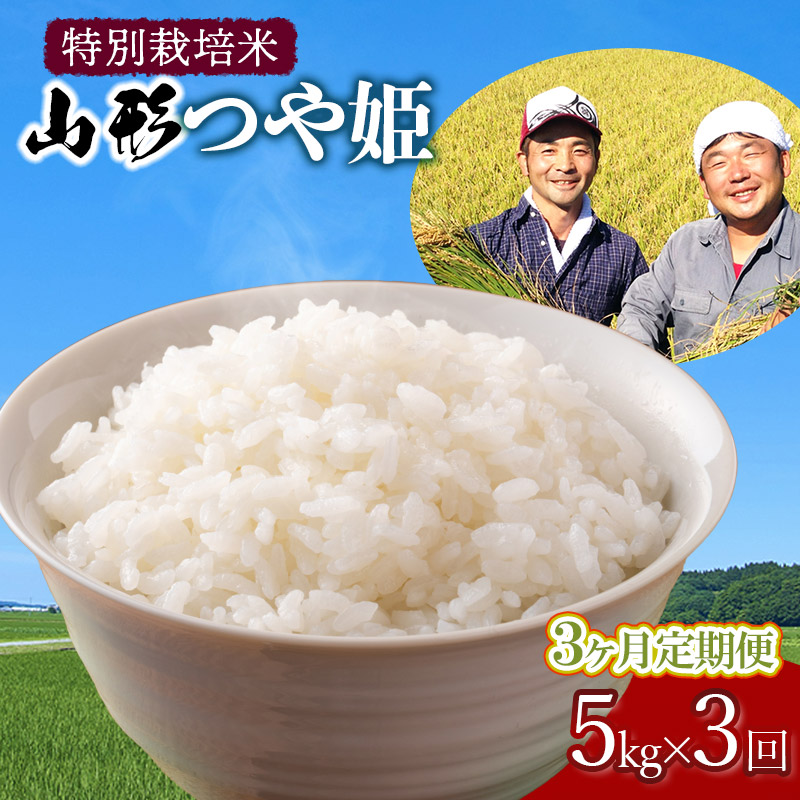 【令和7年産先行予約】【定期便】 特別栽培米 山形つや姫 精米 5kg×3ヶ月 山形県鶴岡市産 鶴岡ファーマーズ山形県鶴岡市39000米・パン白米