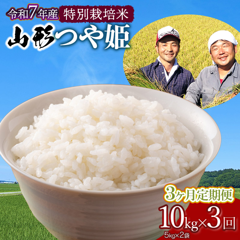 【令和7年産先行予約】【定期便】 特別栽培米 山形つや姫 精米 10kg(5kg×2袋)×3ヶ月 山形県鶴岡市産 鶴岡ファーマーズ山形県鶴岡市72000米・パン白米
