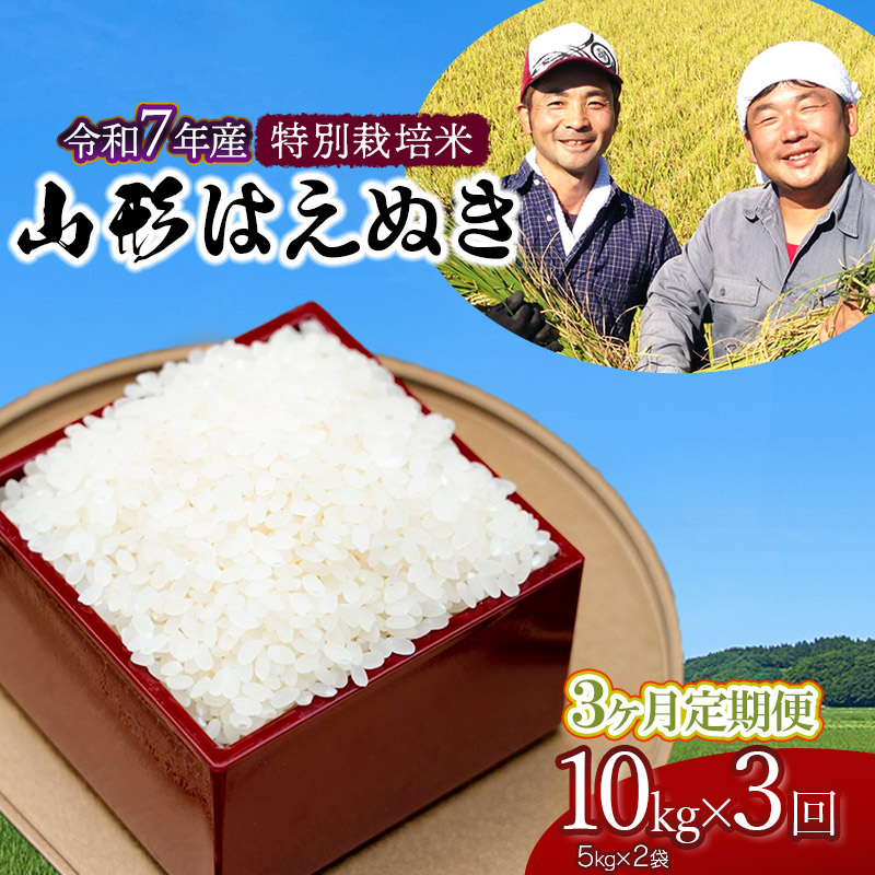 【令和7年産先行予約】【定期便】特別栽培米 山形はえぬき精米10kg(5kg×2袋)×3ヶ月 山形県鶴岡市産 鶴岡ファーマーズ山形県鶴岡市61500米・パン白米