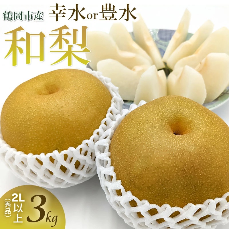 【令和7年産 先行予約】鶴岡市産 和梨 幸水or豊水 約3kg 2L以上(秀品)どちらか1品種 庄内産直センター山形県鶴岡市13000果物・フルーツ