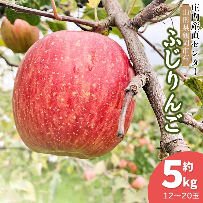 【令和7年産 先行予約】家庭用ふじりんご 約5kg(12〜20玉)入箱 山形県鶴岡市産 庄内産直センター山形県鶴岡市13000果物・フルーツ