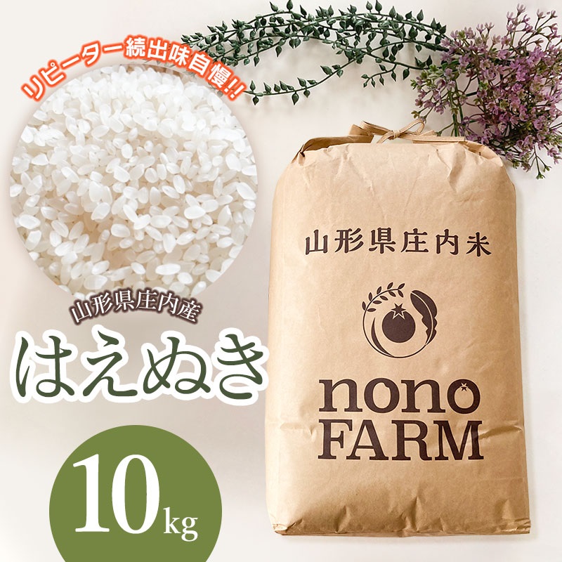 令和6年産】 はえぬき 精米 10kg 山形県庄内産 野々ファーム