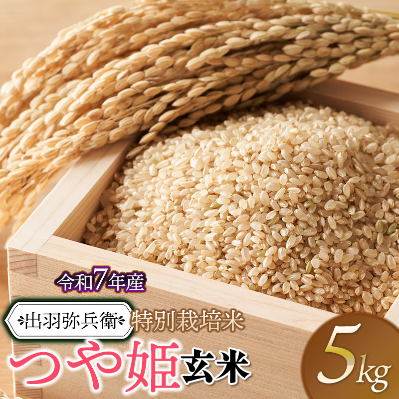 【令和7年産】【新米】特別栽培米 つや姫 【玄米】 5kg 山形県鶴岡市産 出羽弥兵衛 株式会社山形県鶴岡市19500米・パン玄米・雑穀米・もち米・餅