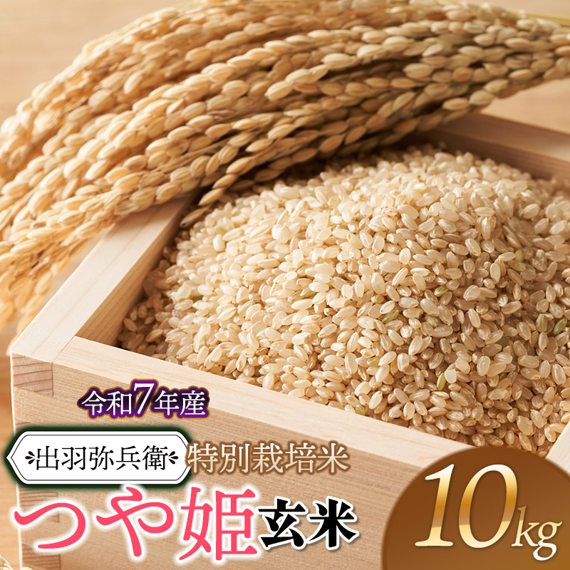 【令和7年産】【新米】特別栽培米 つや姫 【玄米】 10kg(5kg×2袋) 山形県鶴岡市産 出羽弥兵衛 株式会社山形県鶴岡市36000米・パン玄米・雑穀米・もち米・餅