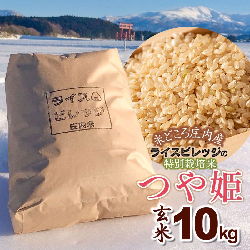 ߘa7NY@Ăǂ돯YCXrbW̓ʍ͔| P 10kg@K-7117R`߉s39000āEpāEGāEāE