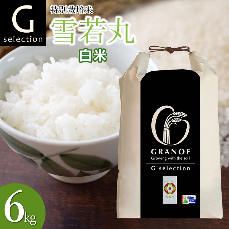 【令和7年産先行予約】 特別栽培米 Gセレクション 雪若丸 白米 6kg(6kg×1袋) 山形県鶴岡市産 株式会社グラノフ山形県鶴岡市14000米・パン白米