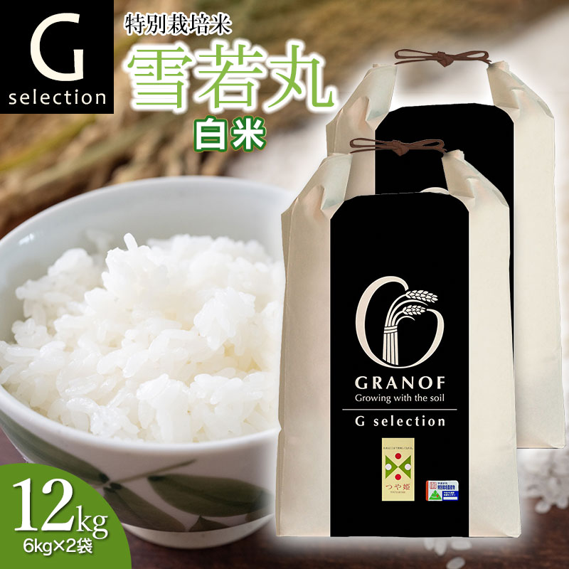 【令和7年産先行予約】 特別栽培米 Gセレクション 雪若丸 白米 12kg (6kg×2袋) 山形県鶴岡市産 株式会社グラノフ山形県鶴岡市26000米・パン白米