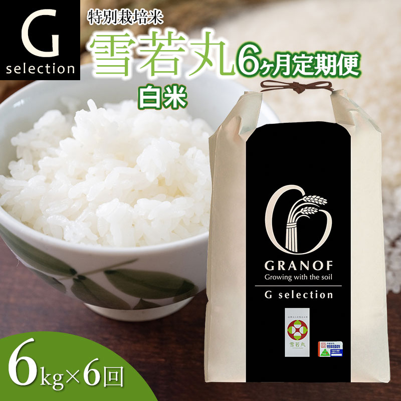 【令和7年産先行予約】【定期便6ヶ月】 特別栽培米 Gセレクション 雪若丸 【白米】6kg (6kg×1袋)×6ヶ月 山形県鶴岡市産 株式会社グラノフ山形県鶴岡市84000米・パン白米