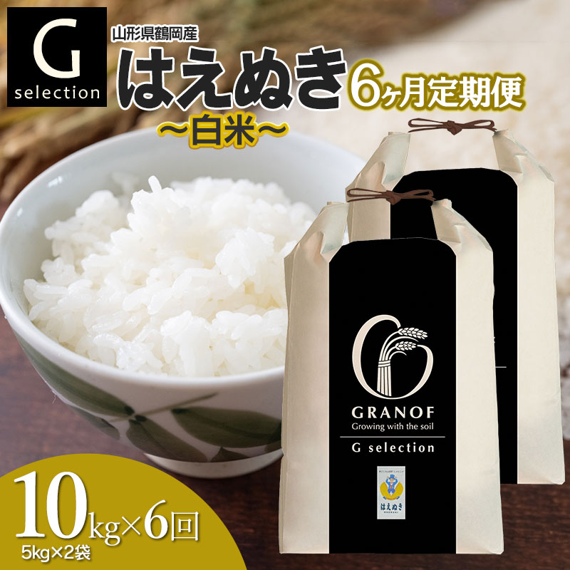 【令和7年産先行予約】【定期便6ヶ月】 Gセレクション はえぬき 白米 10kg (5kg×2袋)×6ヶ月 山形県鶴岡市産 株式会社グラノフ山形県鶴岡市120000米・パン白米