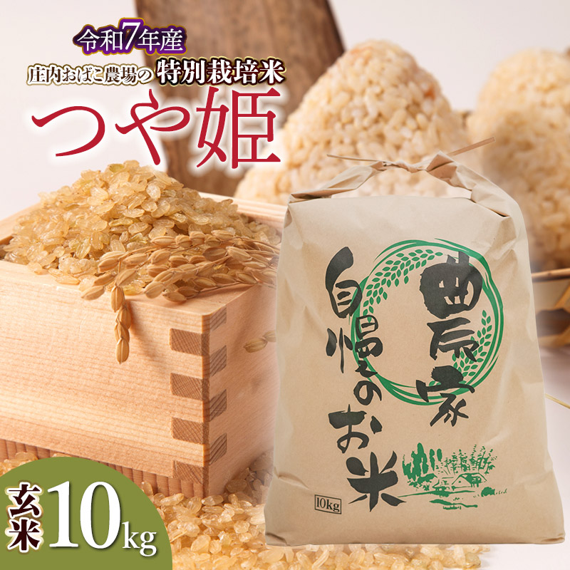 【令和7年産】【新米】庄内おばこ農場の特別栽培米 つや姫 玄米 10kg (10kg×1袋) K-7111山形県鶴岡市37000米・パン玄米・雑穀米・もち米・餅