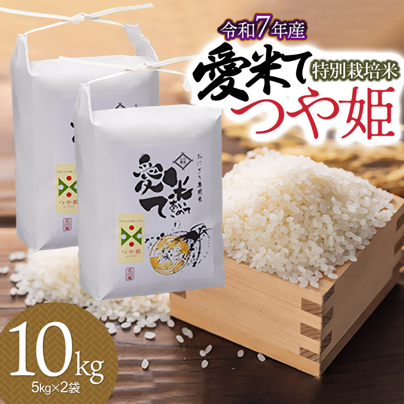 【令和7年産】【新米】特別栽培米 つや姫 10kg(5kg×2袋) 山形県鶴岡市産 愛米て山形県鶴岡市29000米・パン白米