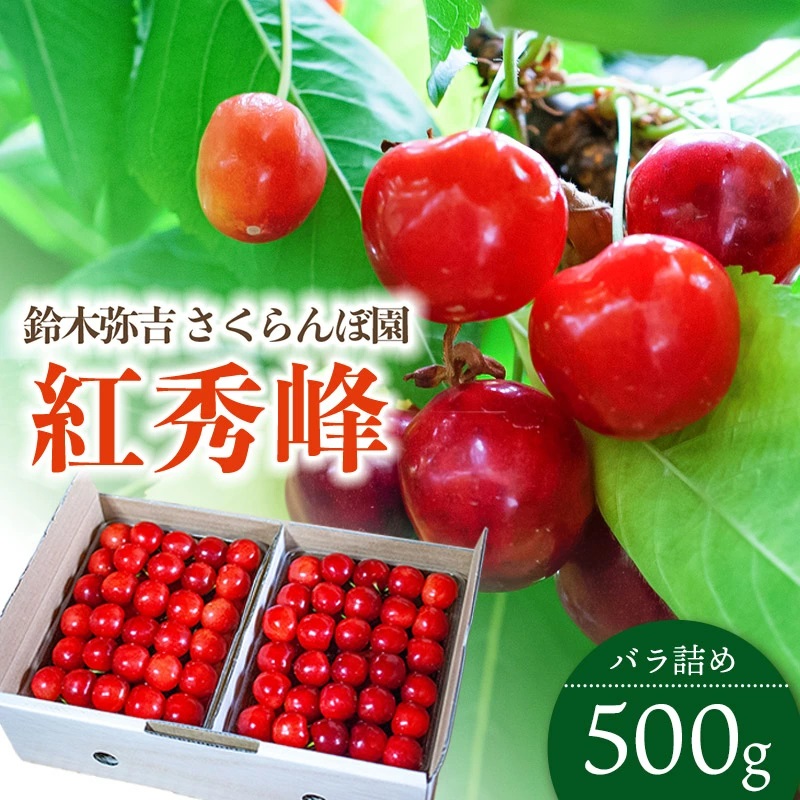 【令和8年産先行予約】 さくらんぼ 「紅秀峰」 バラ詰め 500g 山形県鶴岡産 鈴木弥吉さくらんぼ園 K-835山形県鶴岡市14000果物・フルーツ