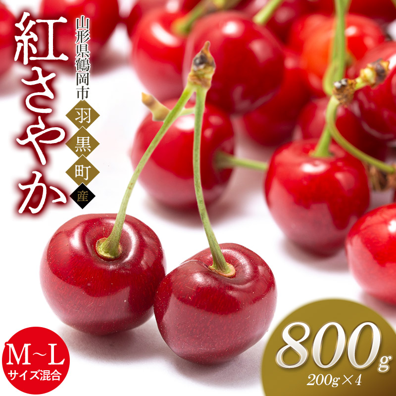 【令和8年産先行予約】さくらんぼ 紅さやか M〜Lサイズ混合 バラ詰め 800g (200g×4P) 庄内さくらんぼ園山形県鶴岡市10000果物・フルーツ