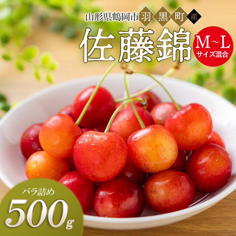【令和8年産先行予約】さくらんぼ 佐藤錦 M〜Lサイズ混合 バラ詰め 500g 庄内さくらんぼ園山形県鶴岡市12500果物・フルーツ