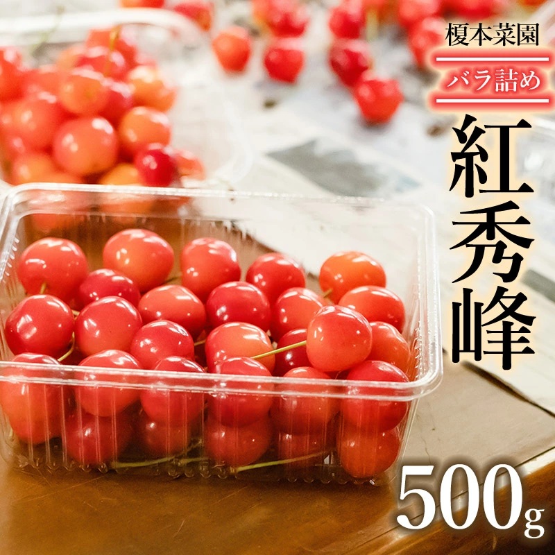 【令和8年産先行予約】山形県 鶴岡市産 さくらんぼ 「紅秀峰」(2Lサイズ以上) バラ詰め 500g  榎本菜園 K-835山形県鶴岡市14000果物・フルーツさくらんぼ