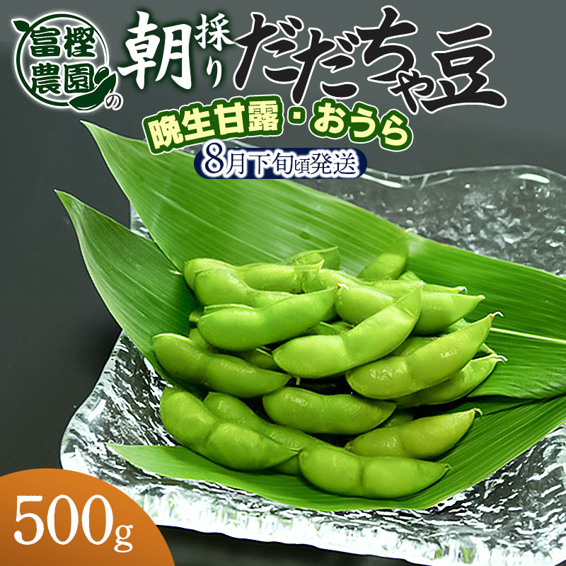 【令和8年産先行予約】 富樫農園の朝採りだだちゃ豆【8月下旬発送】500g 晩生甘露・おうら K-812山形県鶴岡市6500野菜・きのこ豆類