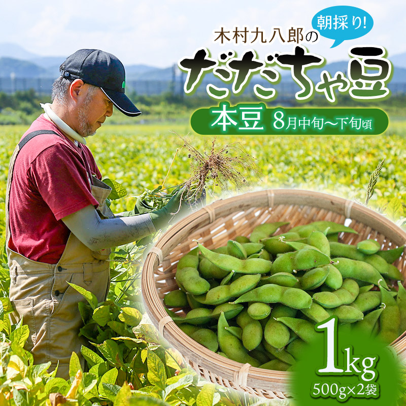 yߘa8NYs\z ؑ㔪Y̒̂IVNIᓤ u{v 1kgi500×2܁j R`߉sY@K-829R`߉s9500؁Ê