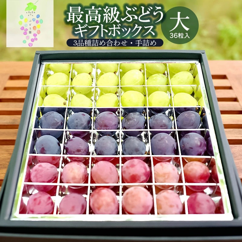 【令和7年産先行予約】最高級ぶどう ギフトボックス【大】36粒入 高級3品種 詰合せ(手詰め) カラフルぶどう園山形県鶴岡市21500果物・フルーツ