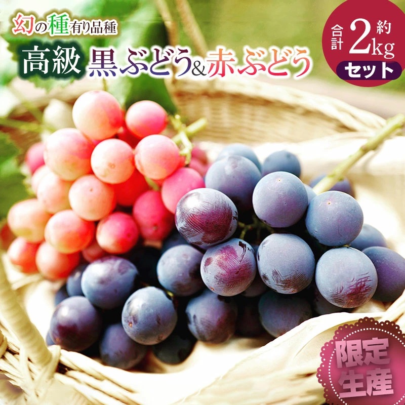 【令和7年産先行予約】【限定生産】幻の種あり品種 ぶどうの詰合せ 約2kg 季節の旬の高級黒ぶどう・赤ぶどうセット カラフルぶどう園山形県鶴岡市17000果物・フルーツ
