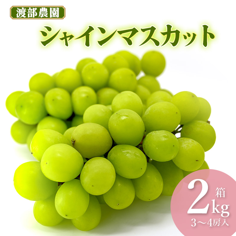 【令和7年産先行予約】 シャインマスカット 約2kg(3〜4房) 山形県鶴岡市 渡部農園山形県鶴岡市17000果物・フルーツマスカット・ぶどう