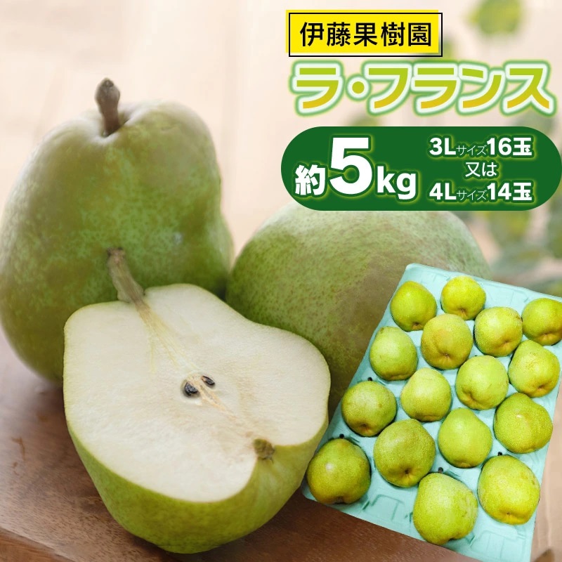 【令和7年産先行予約】ラ・フランス(洋梨) 約5kg(3Lサイズ16玉 又は 4Lサイズ14玉) 伊藤果樹園山形県鶴岡市17000果物・フルーツ