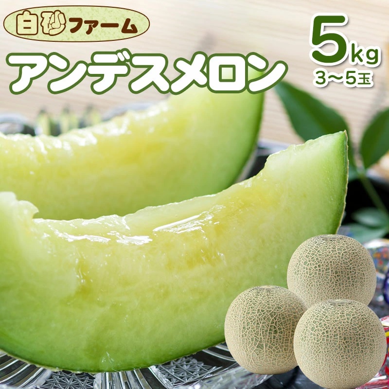 【令和8年産先行予約】 アンデスメロン 約5kg(3〜5玉) 山形県鶴岡産 庄内砂丘メロン 白砂ファーム山形県鶴岡市12000果物・フルーツメロン・スイカ
