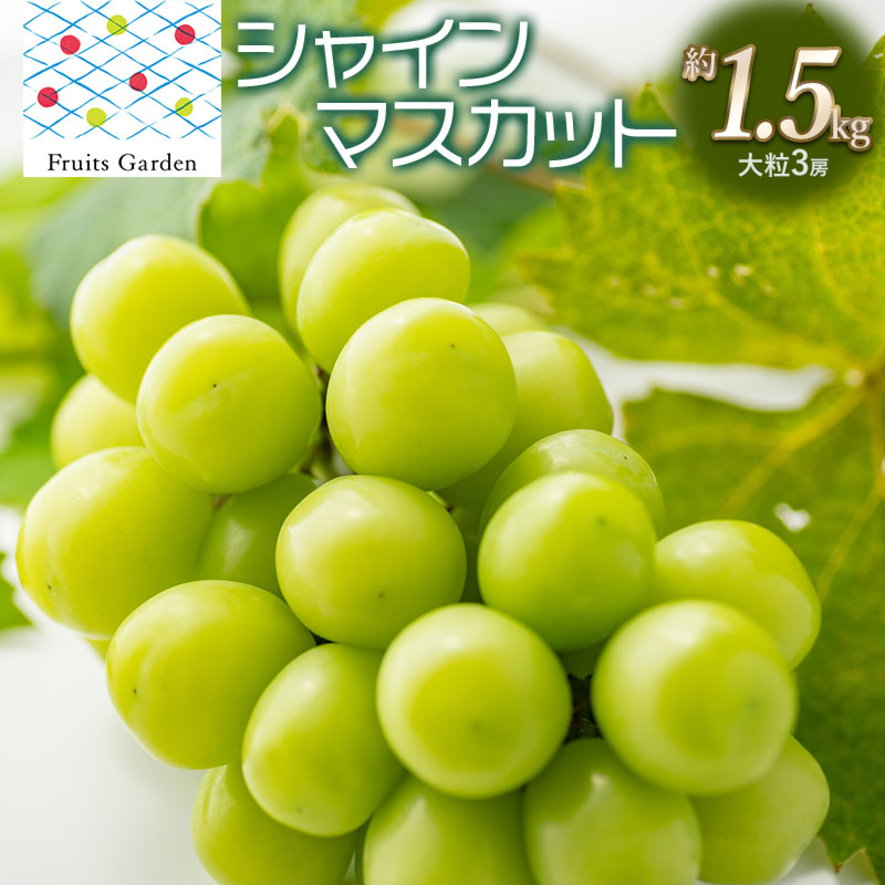yߘa7NYz VC}XJbg 1.5kg 嗱3[@R`߉s t[cK[fR`߉s20000ʕEt[c}XJbgEԂǂ