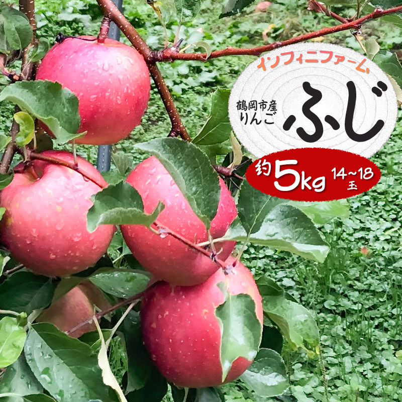 【令和7年産先行予約】鶴岡市産りんご ふじ 約5kg(14〜18玉) インフィニファーム K-739山形県鶴岡市15000果物・フルーツりんご・梨