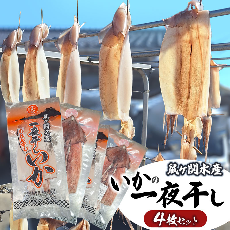 鼠ヶ関名産 いかの一夜干し 4枚セット 鼠ヶ関水産加工生産組合山形県鶴岡市20500魚介・海産物イカ・タコ・ウニ