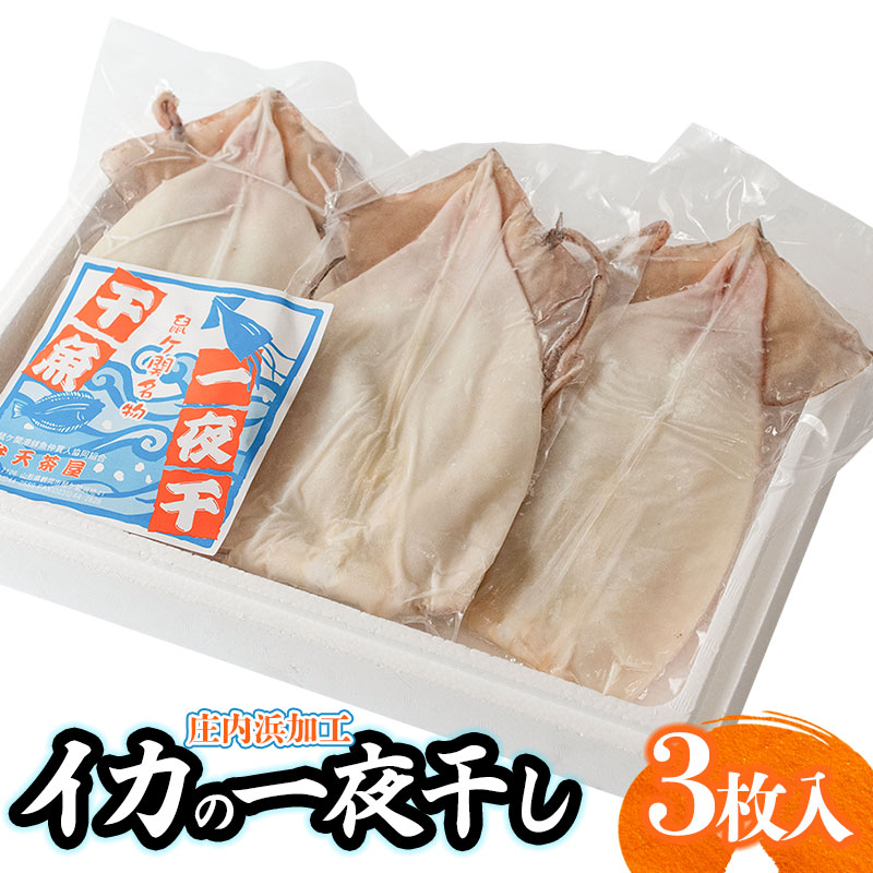 庄内浜加工 イカ一夜干し 3枚 鶴岡魚類株式会社 K-747山形県鶴岡市18000魚介・海産物