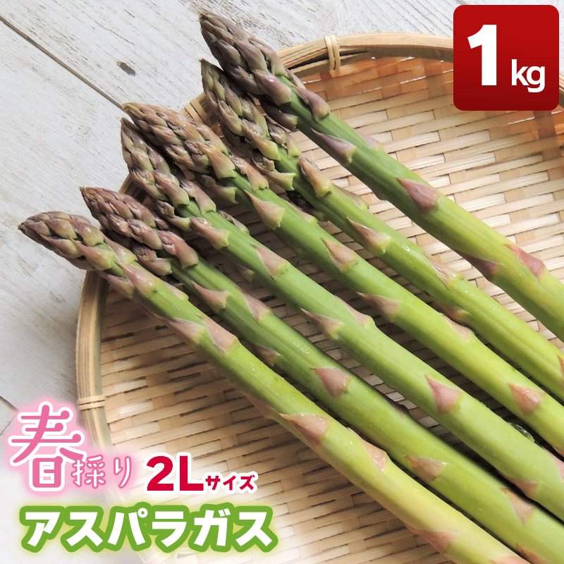 yߘa8NYs\z@t̂AXpKX 2LTCY 1kg@R`߉Y@Toki_R`߉s12000؁Ê̑ 