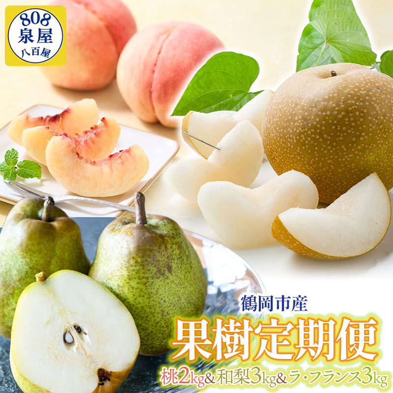 【令和7年産先行予約】鶴岡産果樹定期便 桃2kg & 和梨3kg & ラ・フランス3kg 泉屋商店山形県鶴岡市32000果物・フルーツ
