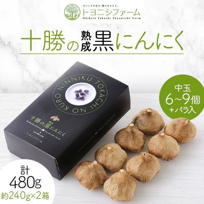 黒にんにく レギュラー (中玉6〜9個+バラ入) ×2箱 計480g【1205011】北海道帯広市26000野菜・きのこ大根・ニンジン・根菜類