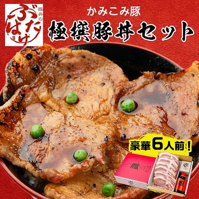 豚丼のぶたはげ「極撰豚丼セット6人前」【配送不可地域:離島】【1205705】北海道帯広市24000肉豚肉